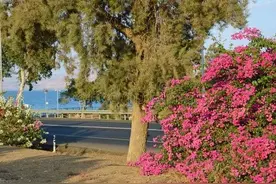 保持年轻的18个小秘诀图片