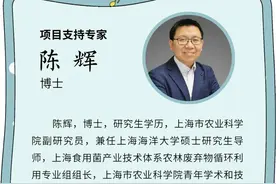 科有趣 | 珍稀营养菌菇系列——新贵羊肚菌（二）图片