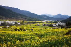 村集体留用地开发：政策、模式与案例图片