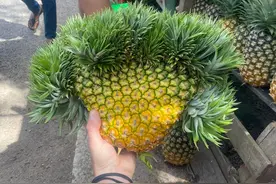 30张有趣的照片展示不一样的世界图片