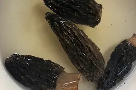 羊肚菌炖排骨汤的做法图片