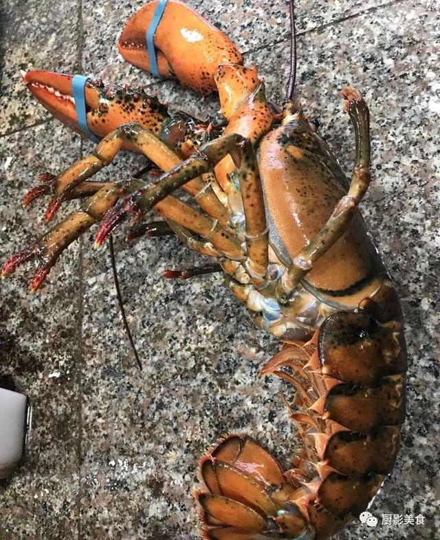 40头的花胶是几级 2025年花胶40头是什么意思?