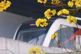 700万+！今年首个图片