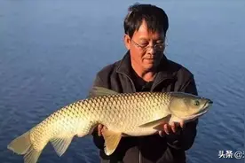 “王者之战”已经有12个战队，你看好哪个？你觉得哪个会夺冠？图片