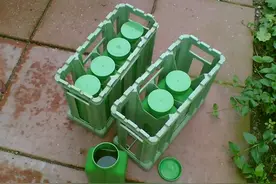 排一次尿的时间有多长？有人拿着计时器看了十几种动物尿尿图片