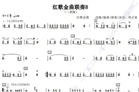 红歌金曲联奏8（二胡版）图片