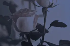 任何时候都可以发的短句文案图片