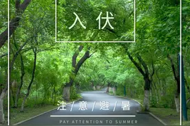 散文：三伏天，愿你动静相宜，伏出平安图片