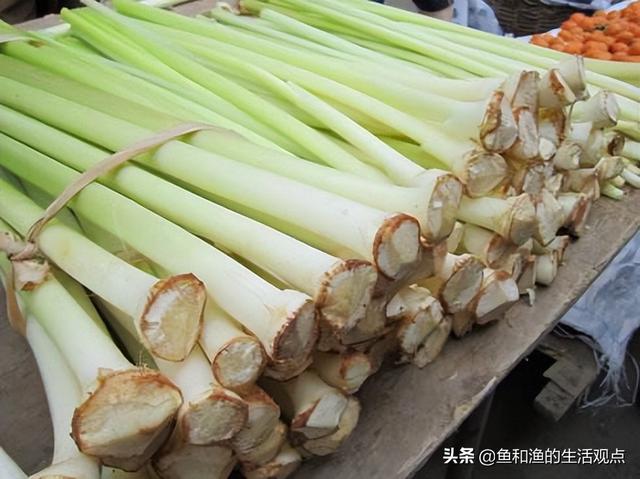 踏春必备“百草图”之三，身边那些有价值的野草，你能认识几种？