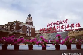 石家庄：北外附属凤凰外国语学校小学招生火热进行中图片