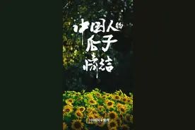 中国味儿，恰似那把瓜子图片