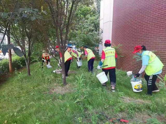 东湖新技术开辟区豹澥街分类专班黄金堂社区开展清洁家园活动