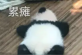 有一种助孕方法，简单方便又经济~图片