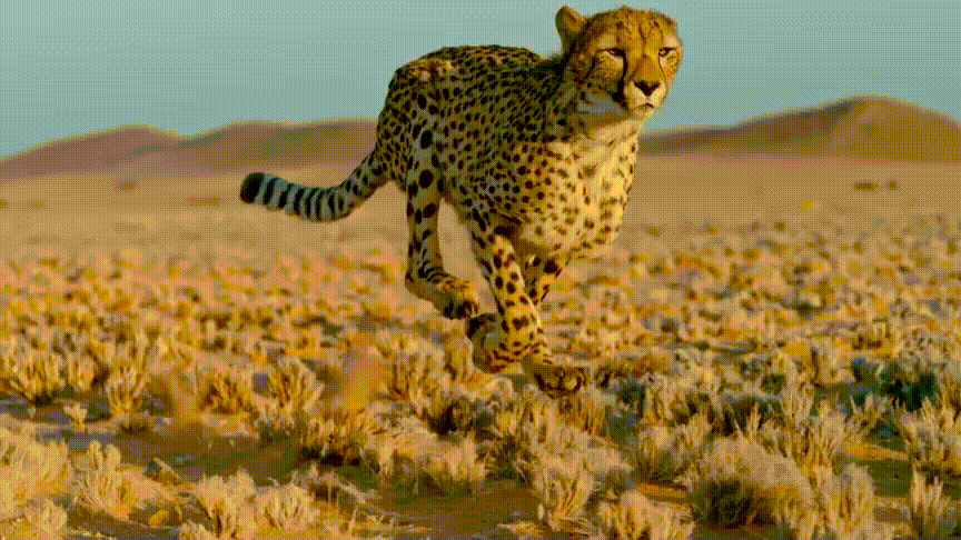 暑期强烈推荐！5部高分纪录片，知识点满满，一定要带孩子看