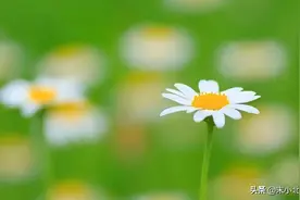 女人，在以下两个时期最容易动真情，男人要懂得好好把握图片