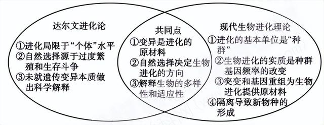 高中生物-变异育种及进化