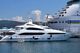 李嘉诚为何出售海外资产转投国内市场图片