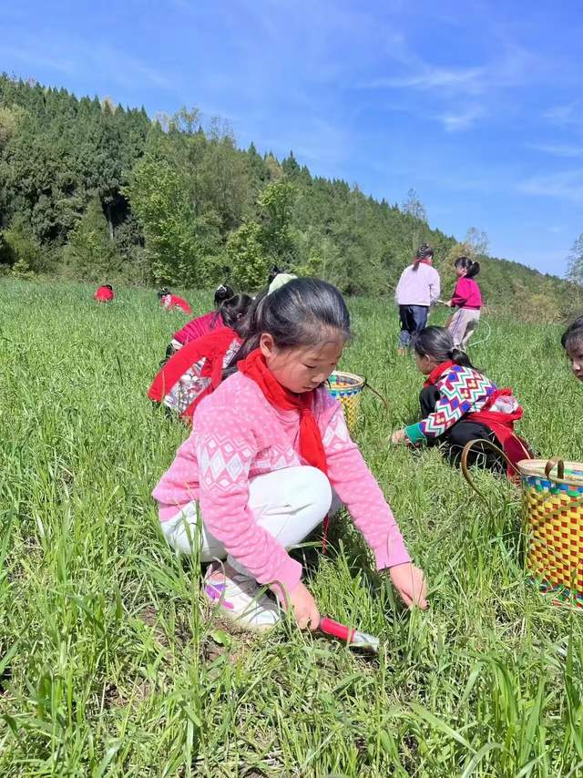 四川省民生研究会新媒体中心-官网