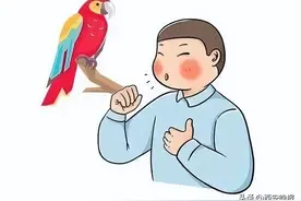 宠鸟女士染上“鹦鹉热”医生提醒：饲养、逗鸟时一定要注意卫生图片