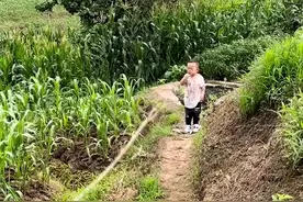 重庆一萌娃跟爸爸去捉鱼回来变泥人，妈妈：看在鱼的份上就不揍你图片