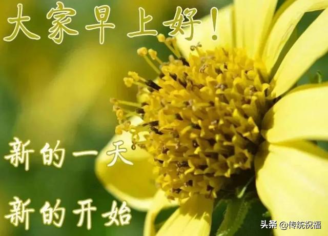 早上好表情精选，天地有情人间有爱，互相牵挂健康同行