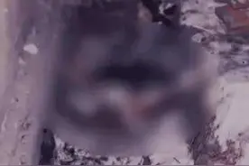 15岁新西兰女子离奇消失，发现尸体时文胸被撕毁，她经历了什么？图片