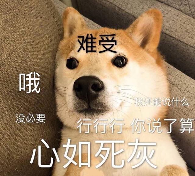 ԹӶԣʺҪû