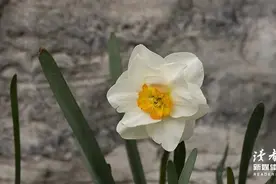 这些温柔的句子，烘暖你的内心图片