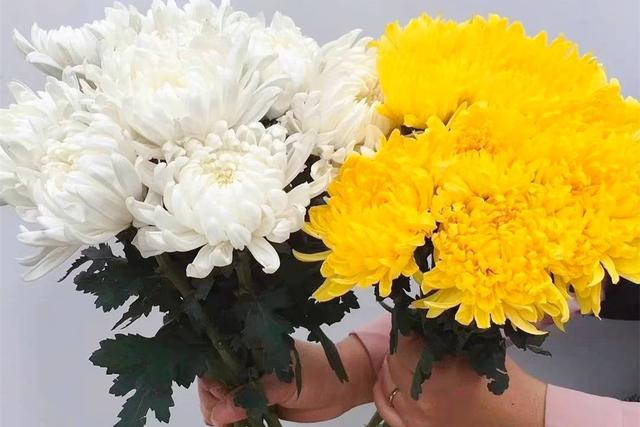 明日中元节，有钱没钱，5样供品记得摆上桌，寓意平安圆满诸事顺