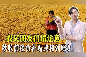 农民朋友们注意！秋收前，粮食补贴或将全部到账！图片