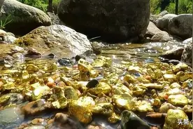 福建海边出现大量金片，渔民哄抢一空，专家调查发现金片不简单图片