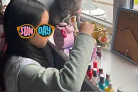 女儿一放假猫就不爽，但又不敢吭声，眼看51快到，它更愁了！图片