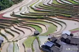 “水稻上山”在实际操作中可行吗？图片