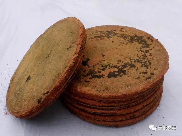 养猪的常用饲料介绍（专业文章建议收藏）