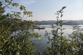 儿子去世，儿媳痴情不愿改嫁，照样孝敬公婆，让她寻找幸福图片