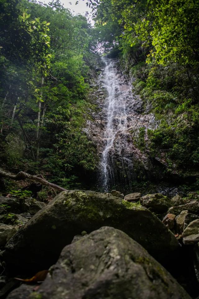 黄山奇遇记：冬观候鸟，野探短尾猴，一场徒步自然的探索之行