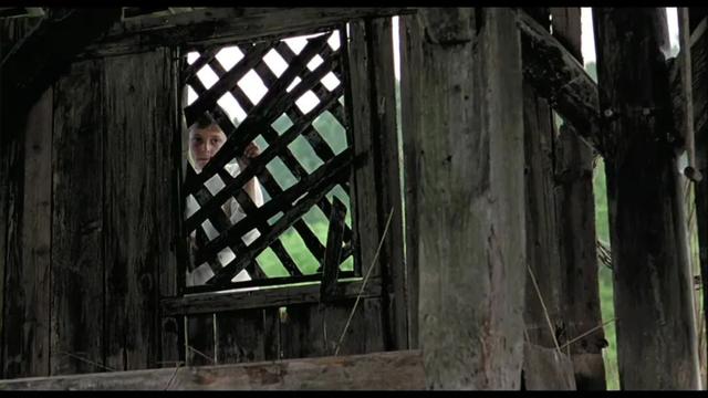 暑期强烈推荐！5部高分纪录片，知识点满满，一定要带孩子看