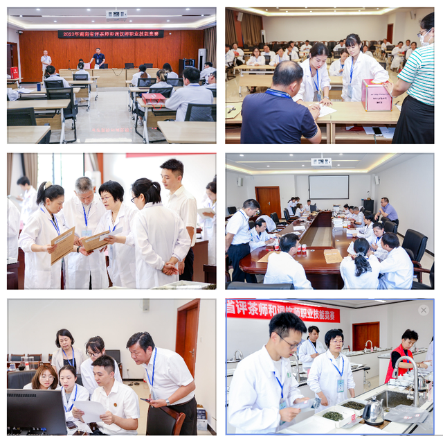 常德榜上有名 2023年湖南省评茶师和调饮师职业技能竞赛圆满收官(图23)