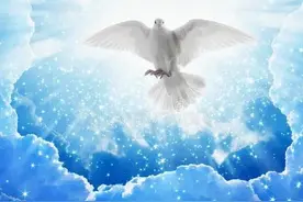 读《天蓝色的彼岸》：我是8岁的哈里，我来告诉你人生的真谛图片