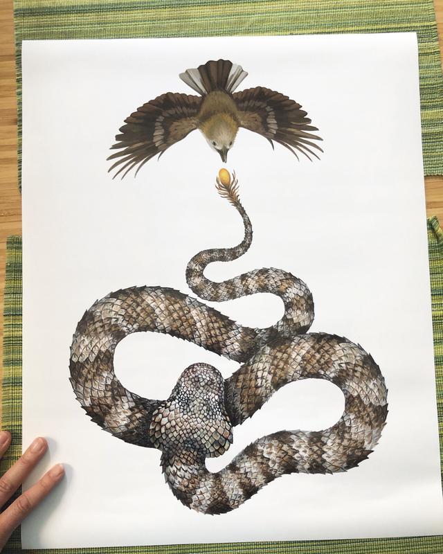 蛇头蛛尾龙角，2006年伊朗西部发现古怪生物，莫非“地龙”现世？