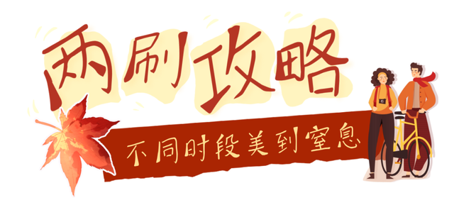 最新实拍！烟台鱼鸟河“顶级秋色”加载中