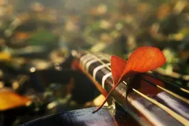 兄弟姐妹关系再好，也要懂得“羊群定律”图片