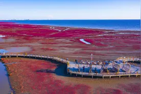 ‘聪明的人’和‘智慧的人’有这五个区别图片