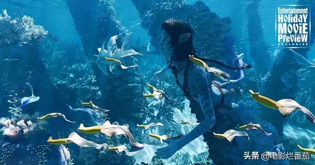 全球票房破30亿，卡神又破科幻天花板，四大卖点告诉你值在哪？