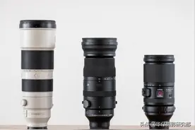 索尼长焦怎么选：索尼 200-600 VS 适马 150-600 VS 腾龙 150-500图片