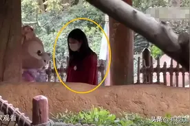 上海迪士尼畸形的一幕曝光，堪称当代底层打工人被羞辱实录图片