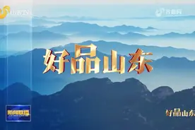 「好品山东」红领西装、坦博尔、海马地毯……这些服装纺织领域的“山东好品”交出亮眼成绩单图片