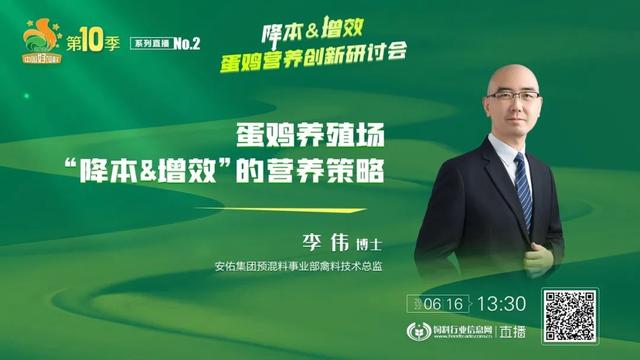 六位技术实战精英，给出蛋鸡营养增效&成本控制详细方案