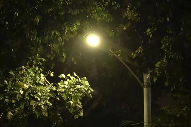 46岁富婆约两名健身教练陪睡，当晚激情过后死亡，警方：兴奋过度