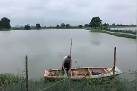 二氧化氯消毒，一定注意这几个使用技巧，可别用错了图片